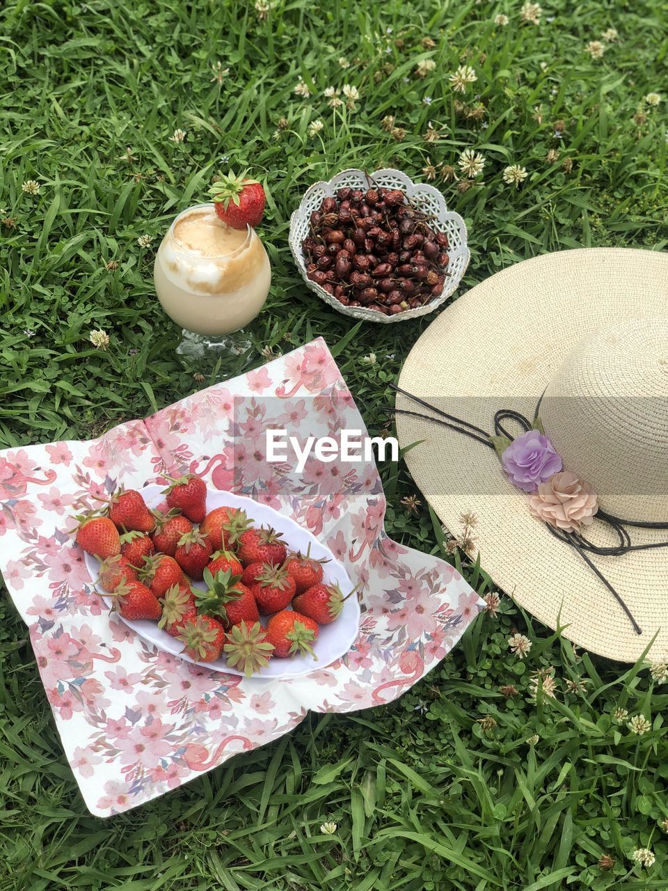 High angle view of fruits on field