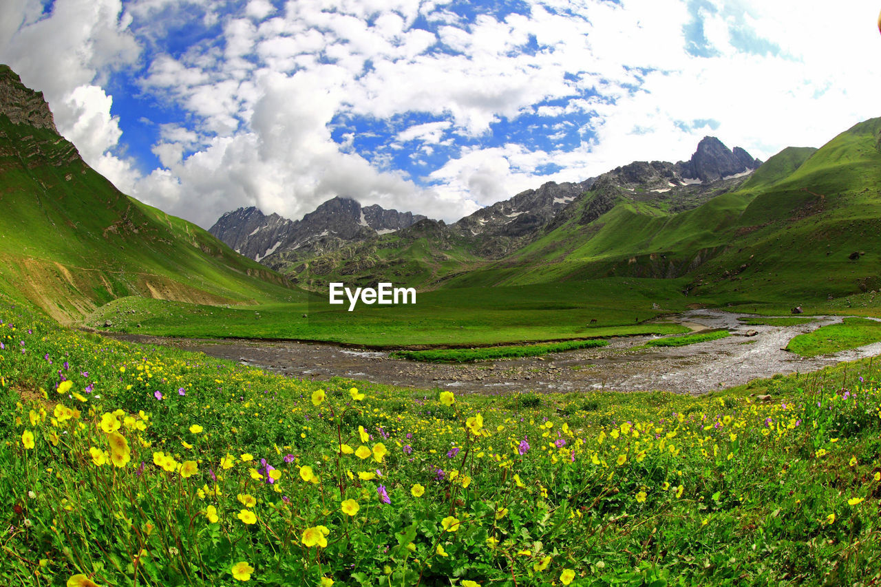 SCENIC VIEW OF FIELD AGAINST MOUNTAINS