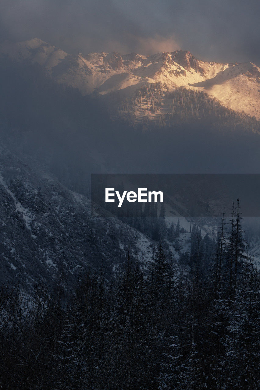 mountain, scenics - nature, snow, winter, environment, cold temperature, beauty in nature, tree, sky, landscape, nature, cloud, forest, land, fog, plant, mountain range, tranquility, coniferous tree, pinaceae, dawn, morning, snowcapped mountain, pine tree, tranquil scene, no people, non-urban scene, pine woodland, travel destinations, mountain peak, ridge, wilderness, travel, outdoors, sunrise, idyllic, tourism, mist, summit, sunlight, woodland