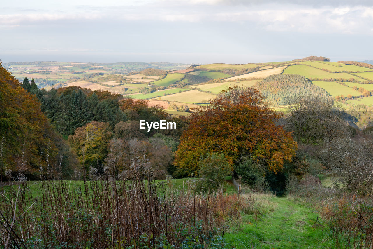 Landscape photo overlooking the brendon hills on a sunny autumn day 