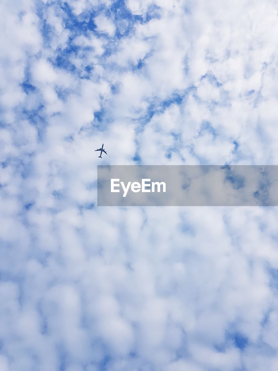 LOW ANGLE VIEW OF BIRD FLYING AGAINST SKY