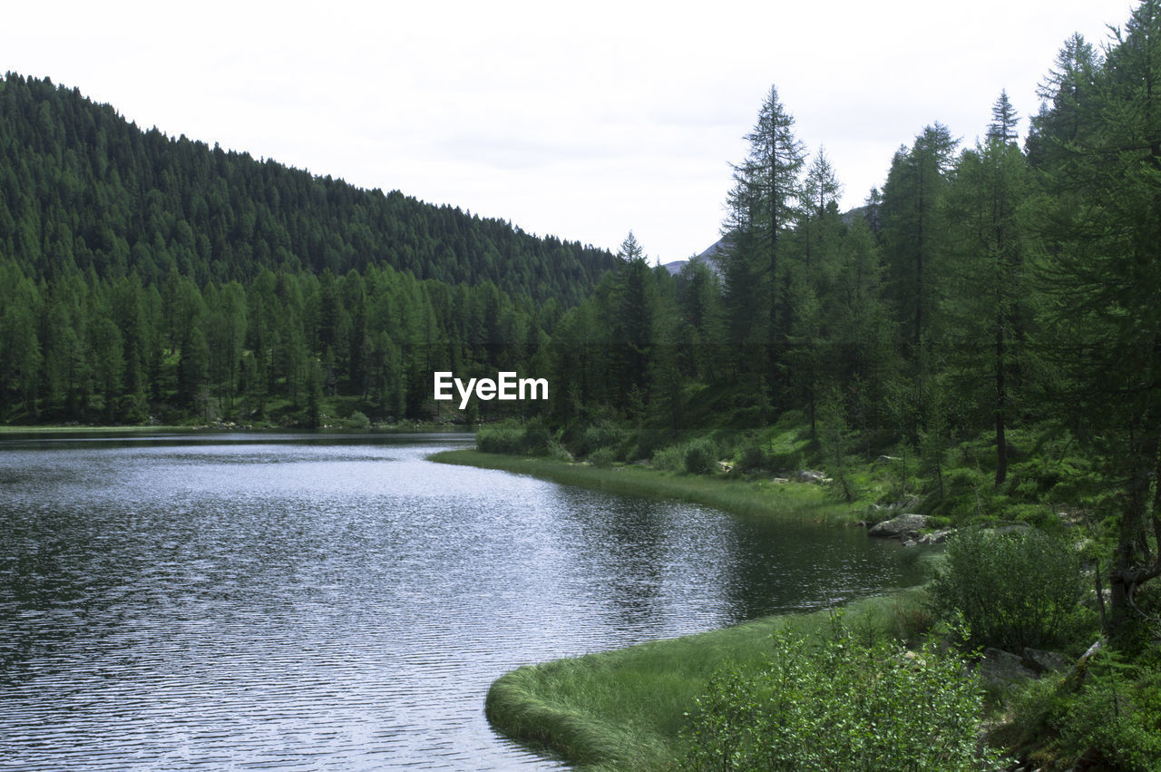 SCENIC VIEW OF RIVER BY TREES AGAINST SKY