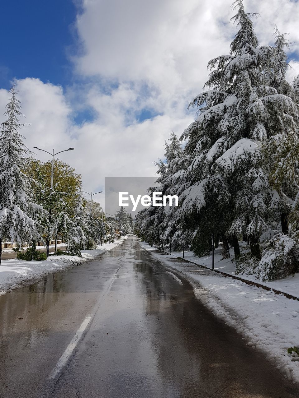 Road amidst trees against sky during winter