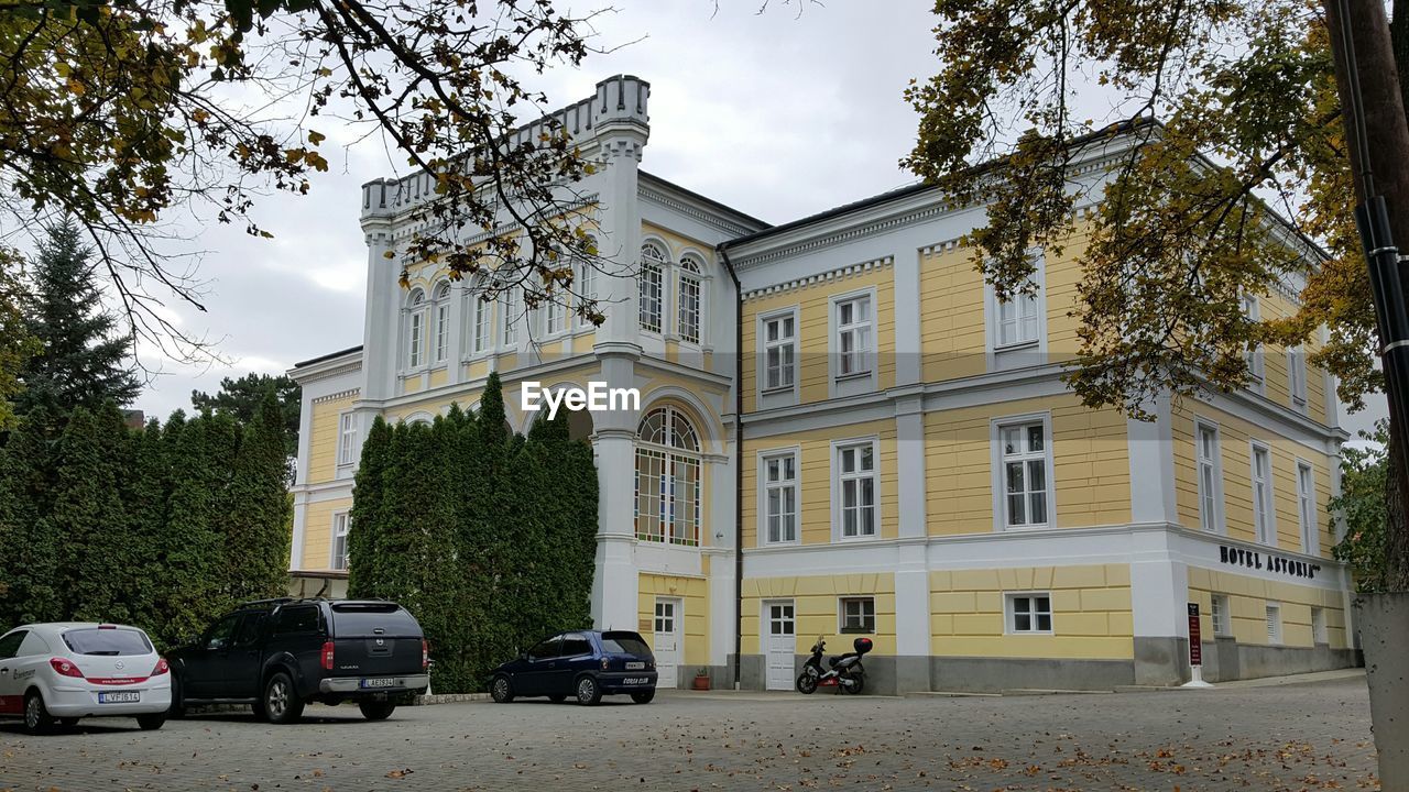 VIEW OF TREES AND BUILDINGS