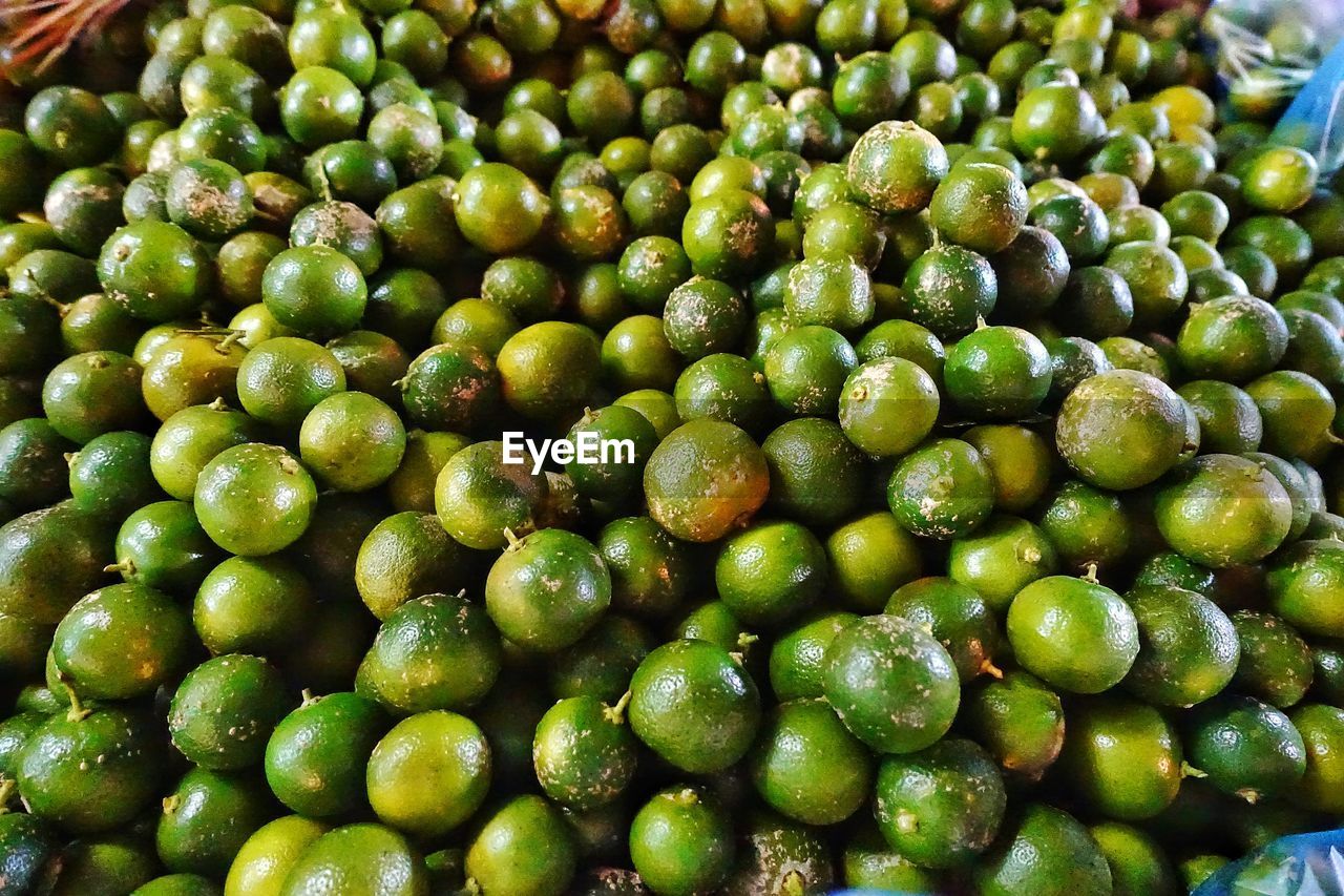 FULL FRAME SHOT OF FRESH GREEN FRUITS