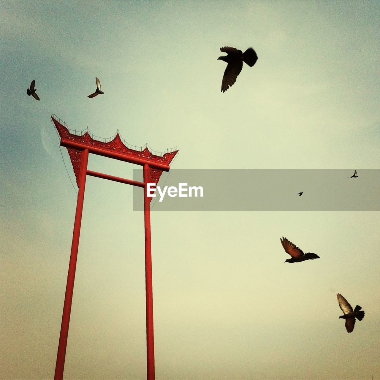 Flying birds and red gate against sky