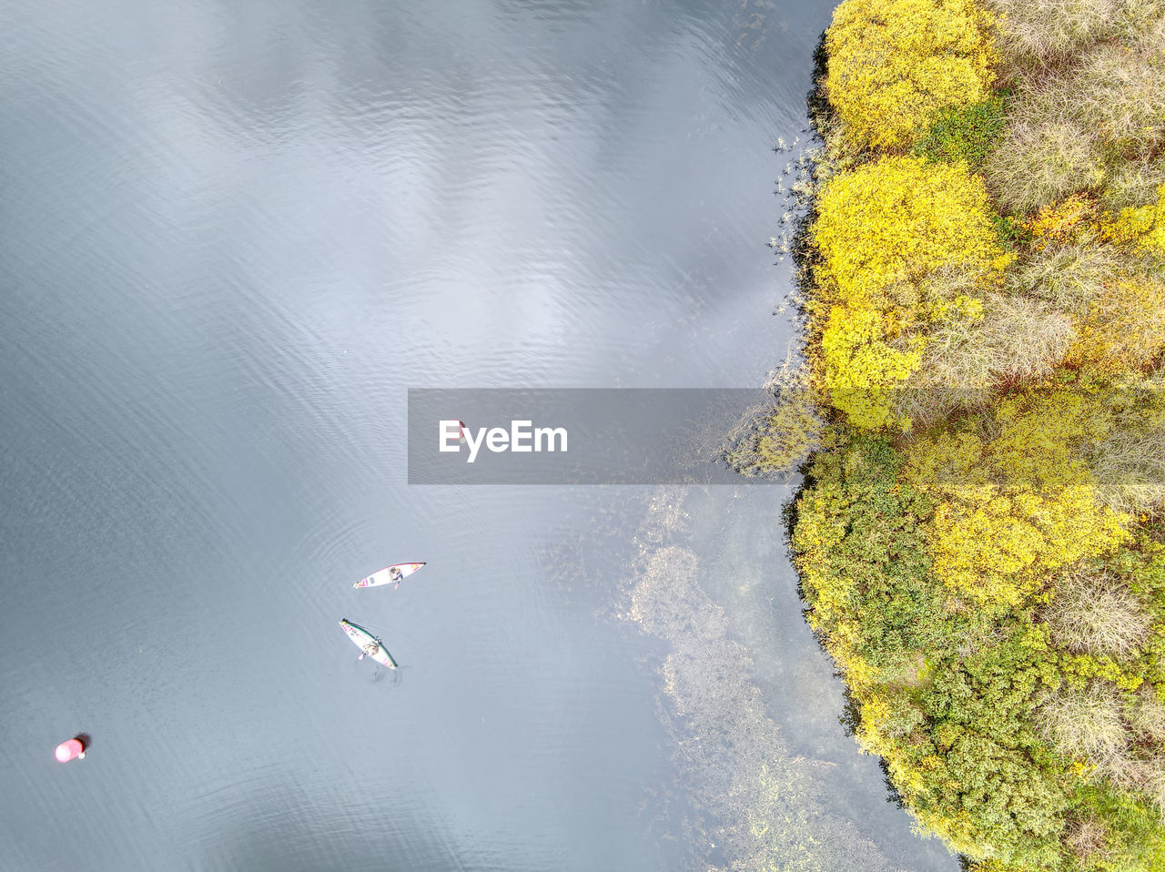 HIGH ANGLE VIEW OF PLANTS FLOATING ON LAKE