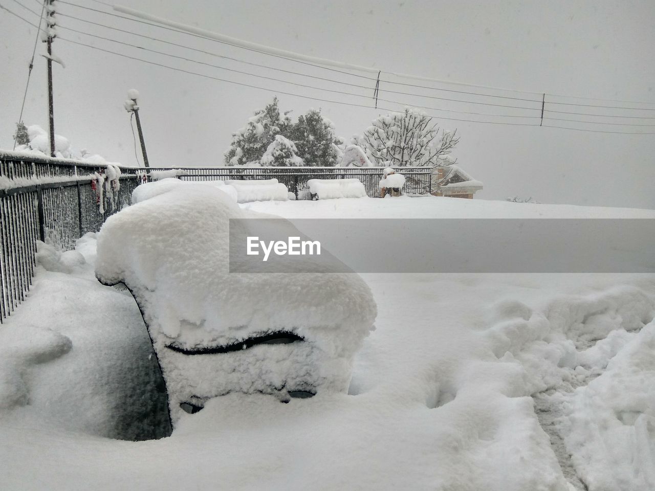 SNOW ON FIELD