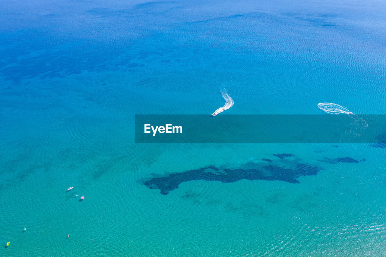 HIGH ANGLE VIEW OF FISH UNDERWATER