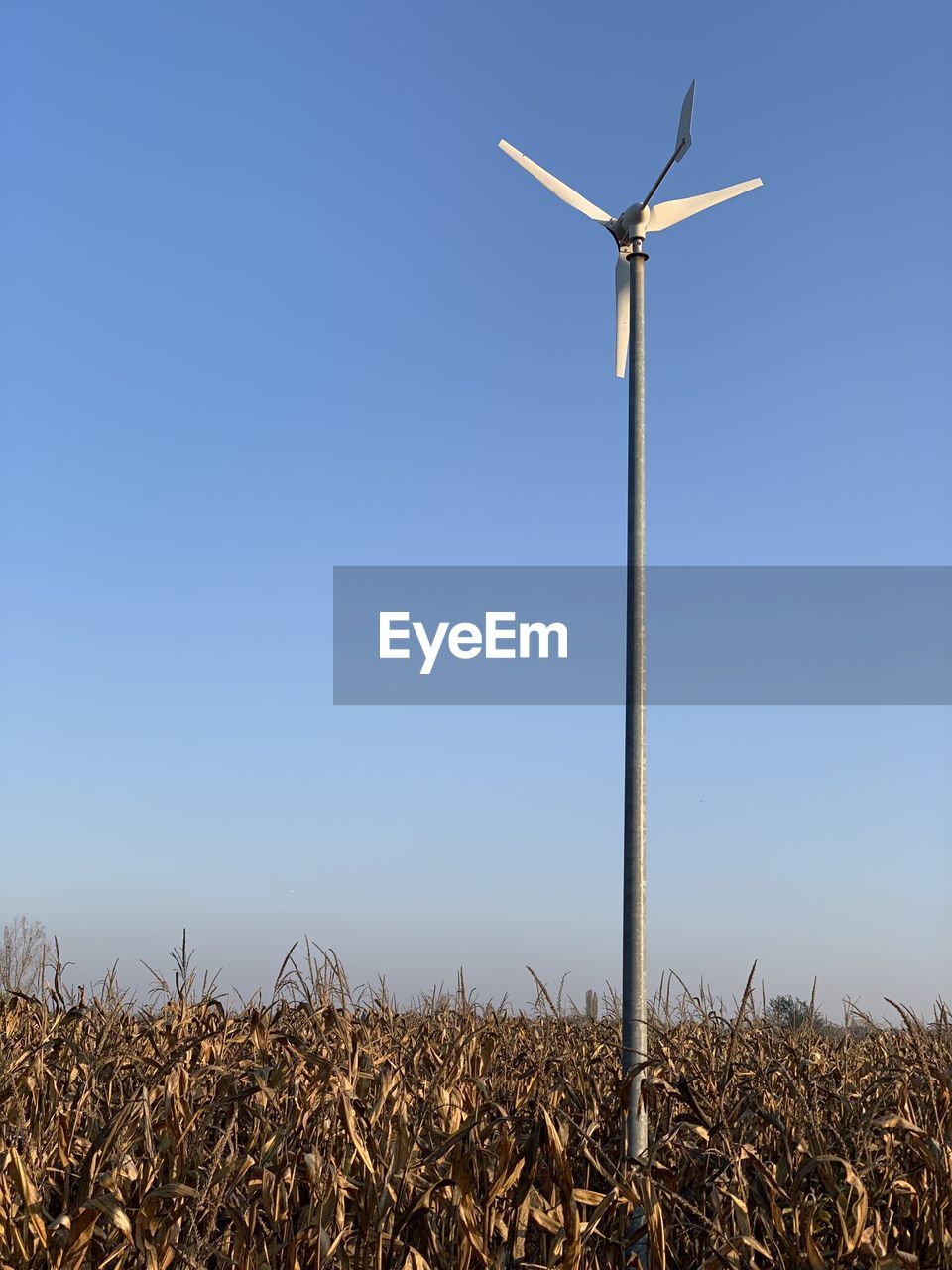 LOW ANGLE VIEW OF WINDMILLS ON FIELD AGAINST CLEAR SKY