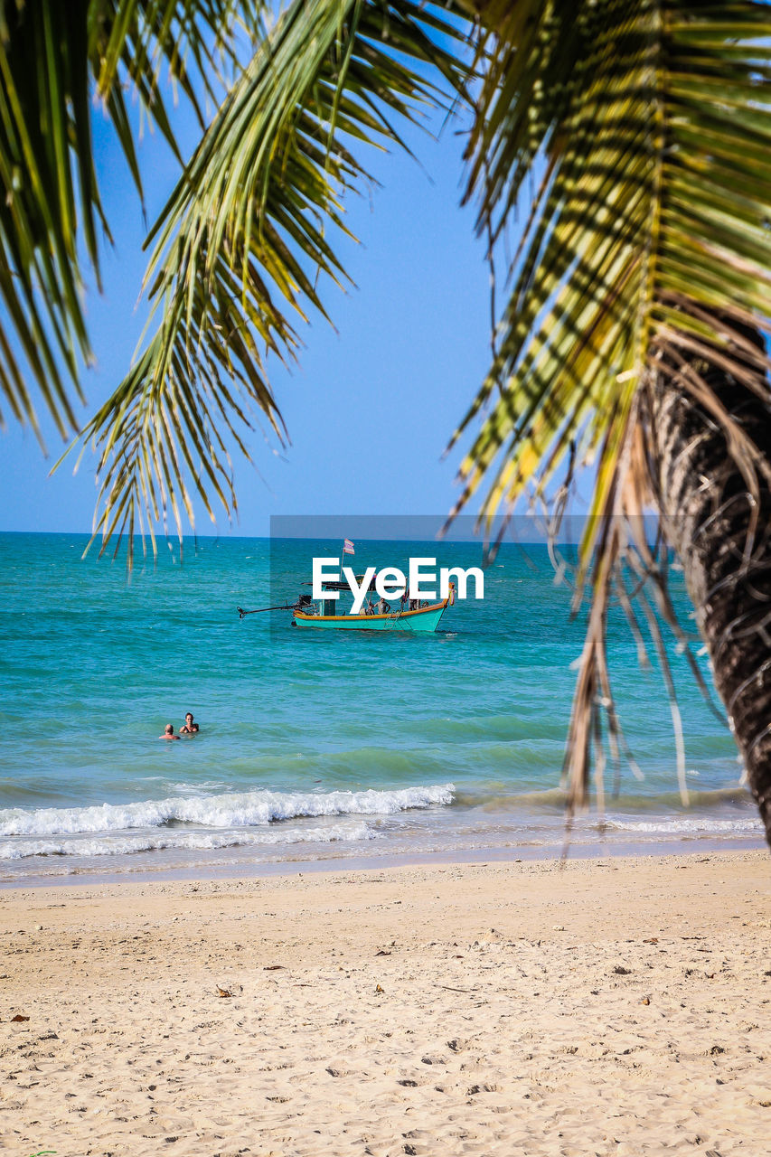 Palm trees on beach against sky