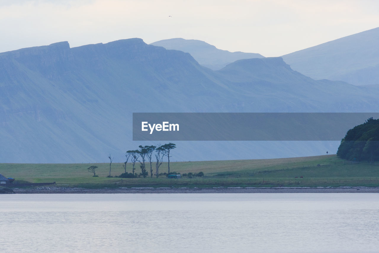 Dramatic scottish coastal cliffs, part of a telephoto landscape behind an unusual bunch of trees