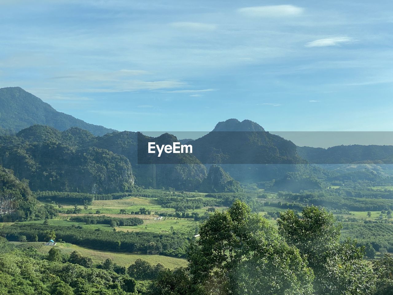 SCENIC VIEW OF TREES ON MOUNTAIN AGAINST SKY