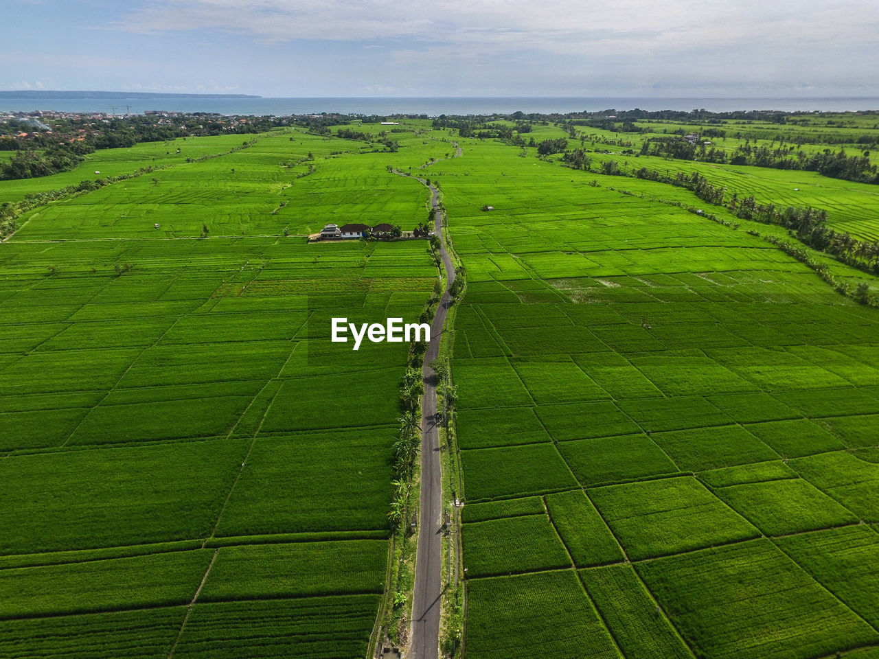 Scenic view of agricultural field