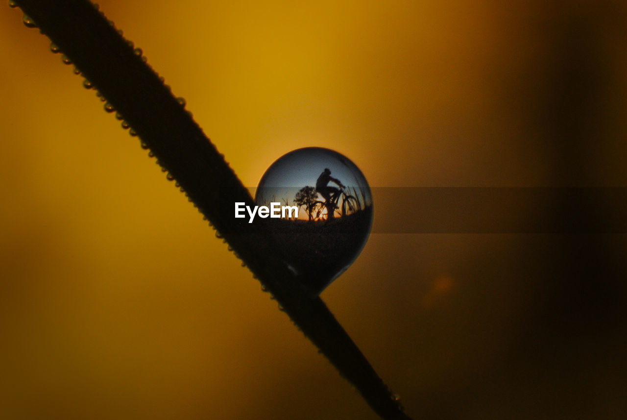 Reflection of person riding bicycle on land in water drop on plants stem against sky during sunset