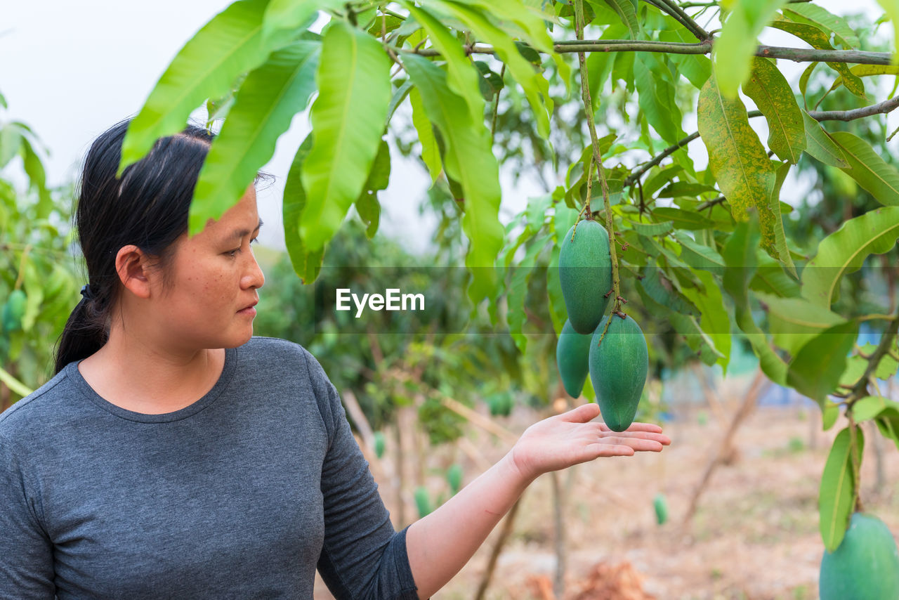 MIDSECTION OF MAN EATING PLANT