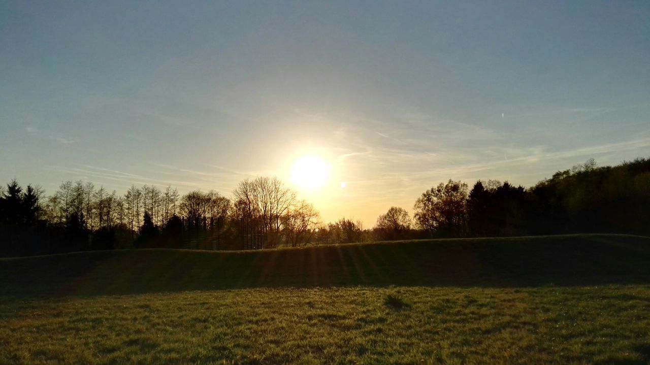 Scenic view of grassy field by trees against sky during sunset