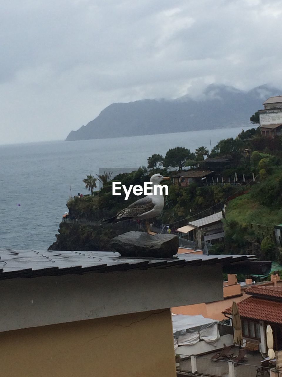 VIEW OF BUILT STRUCTURES AGAINST SKY