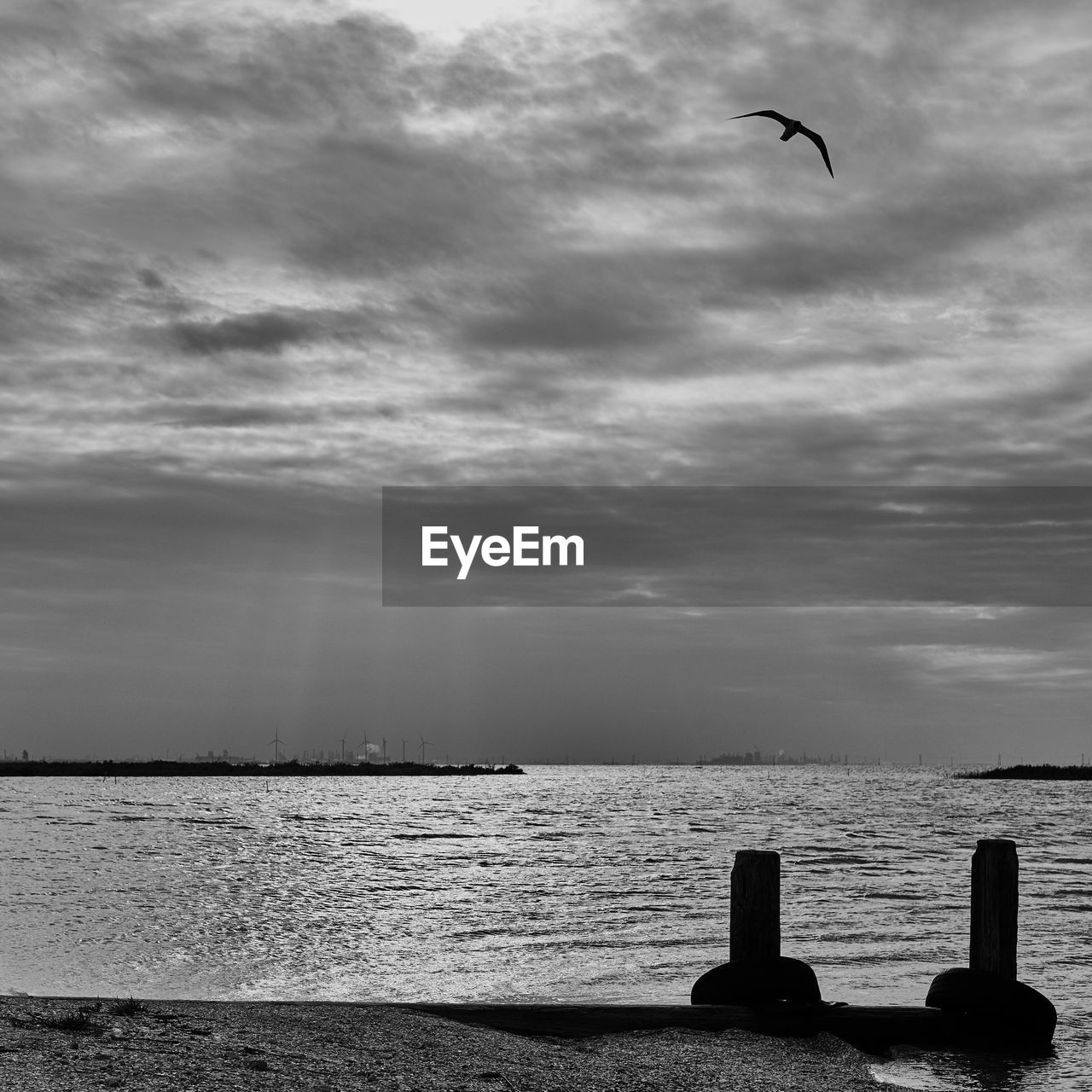 BIRDS FLYING OVER BEACH AGAINST SKY