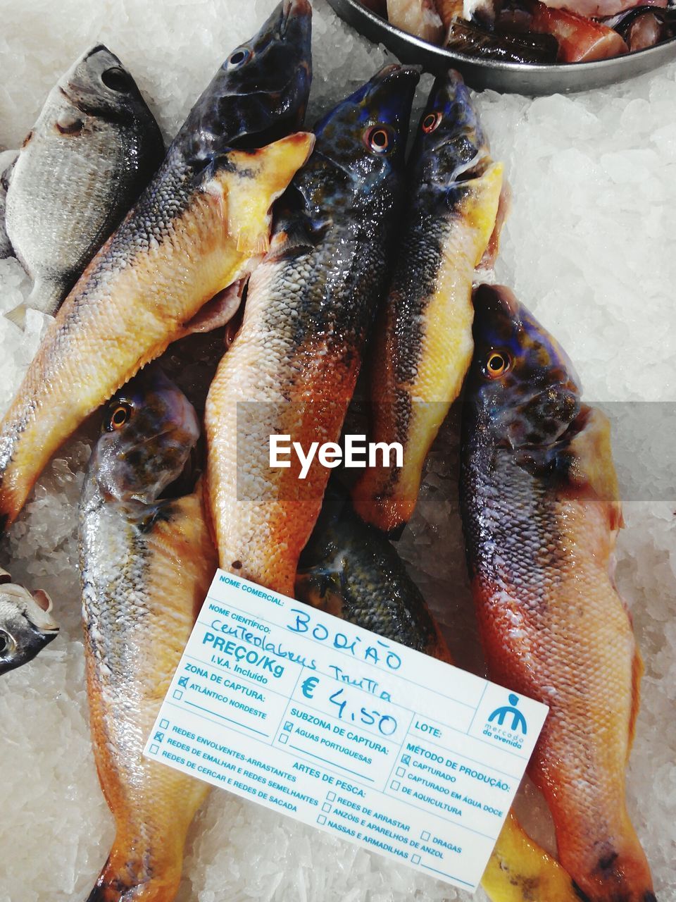 CLOSE-UP OF FISH FOR SALE IN MARKET