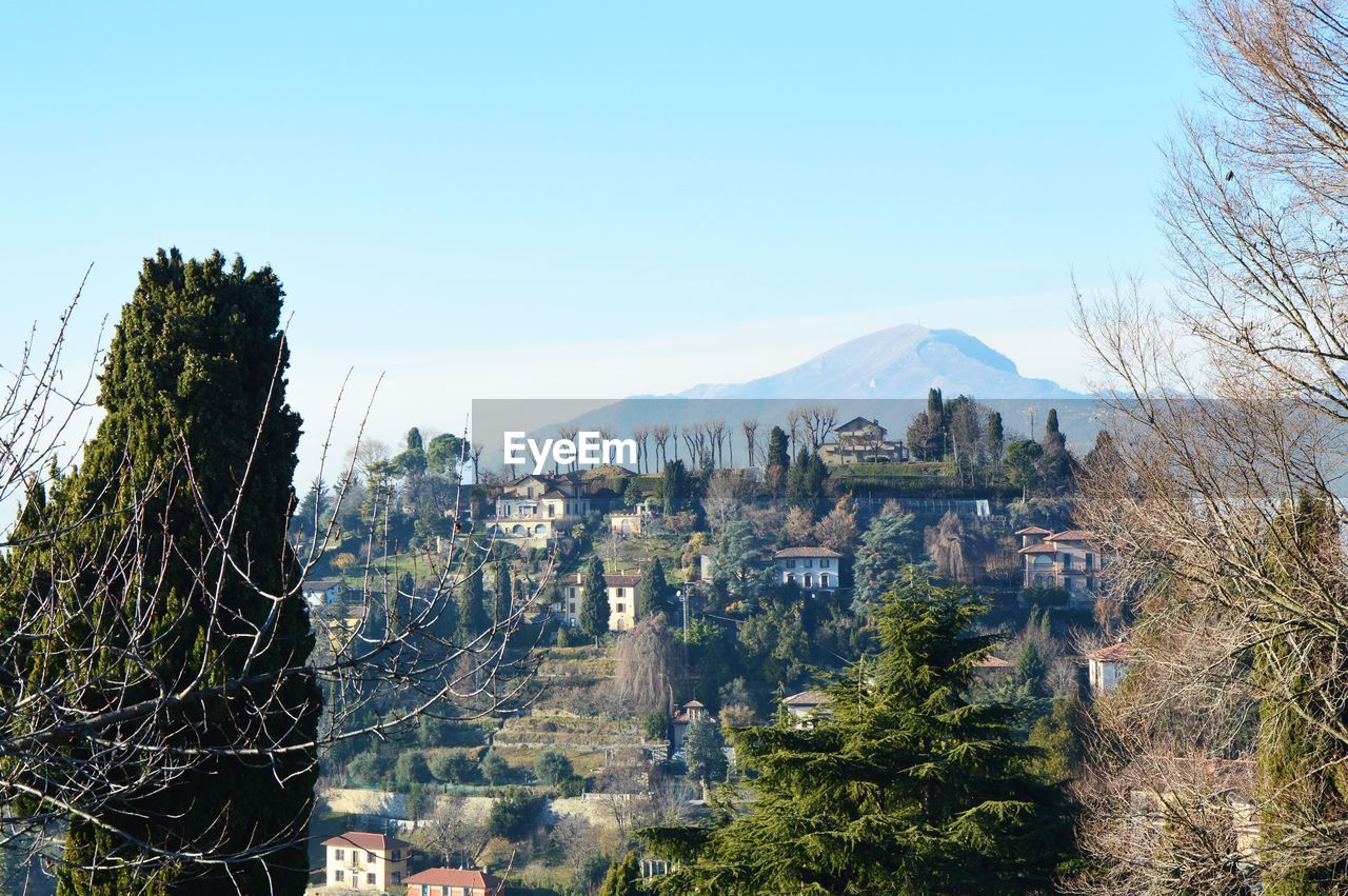 Scenic view of trees and mountains against clear sky