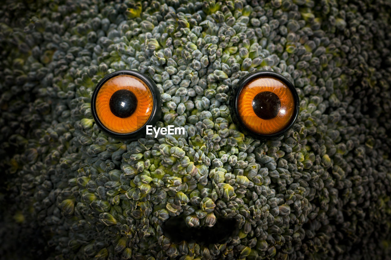 The broccoli monster with orange eyes