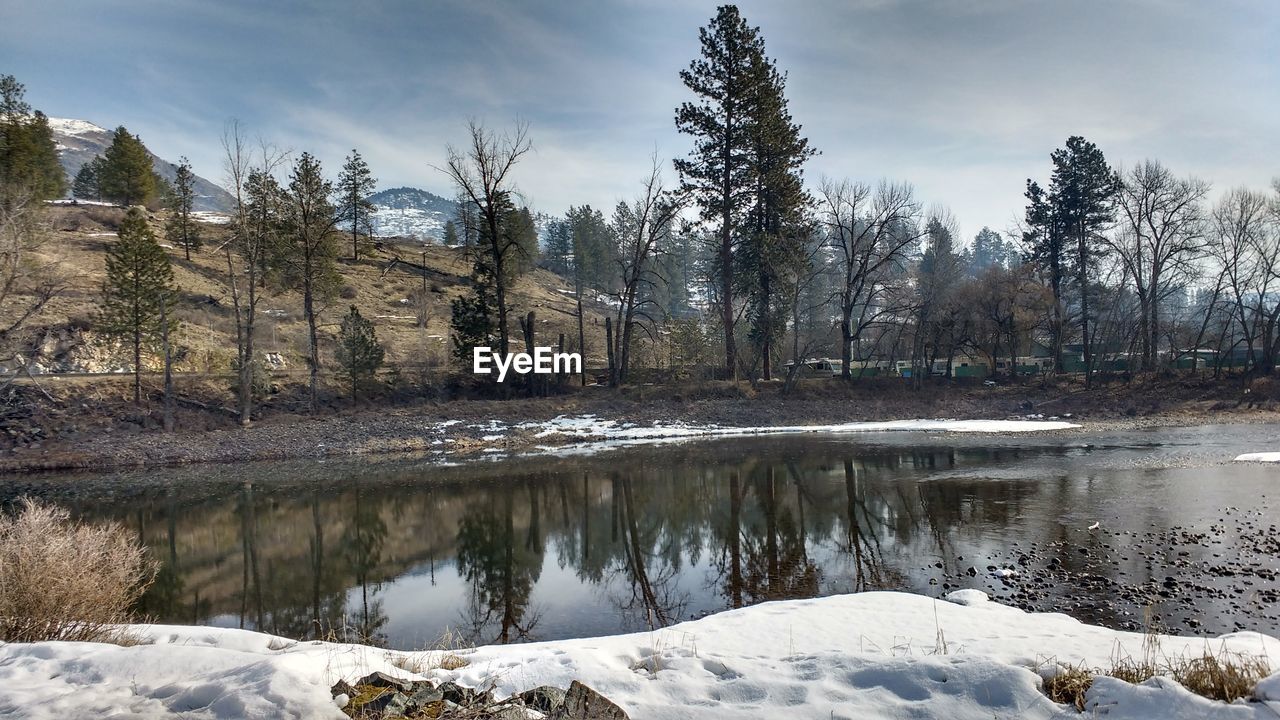 SCENIC VIEW OF LAKE BY TREES AGAINST SKY