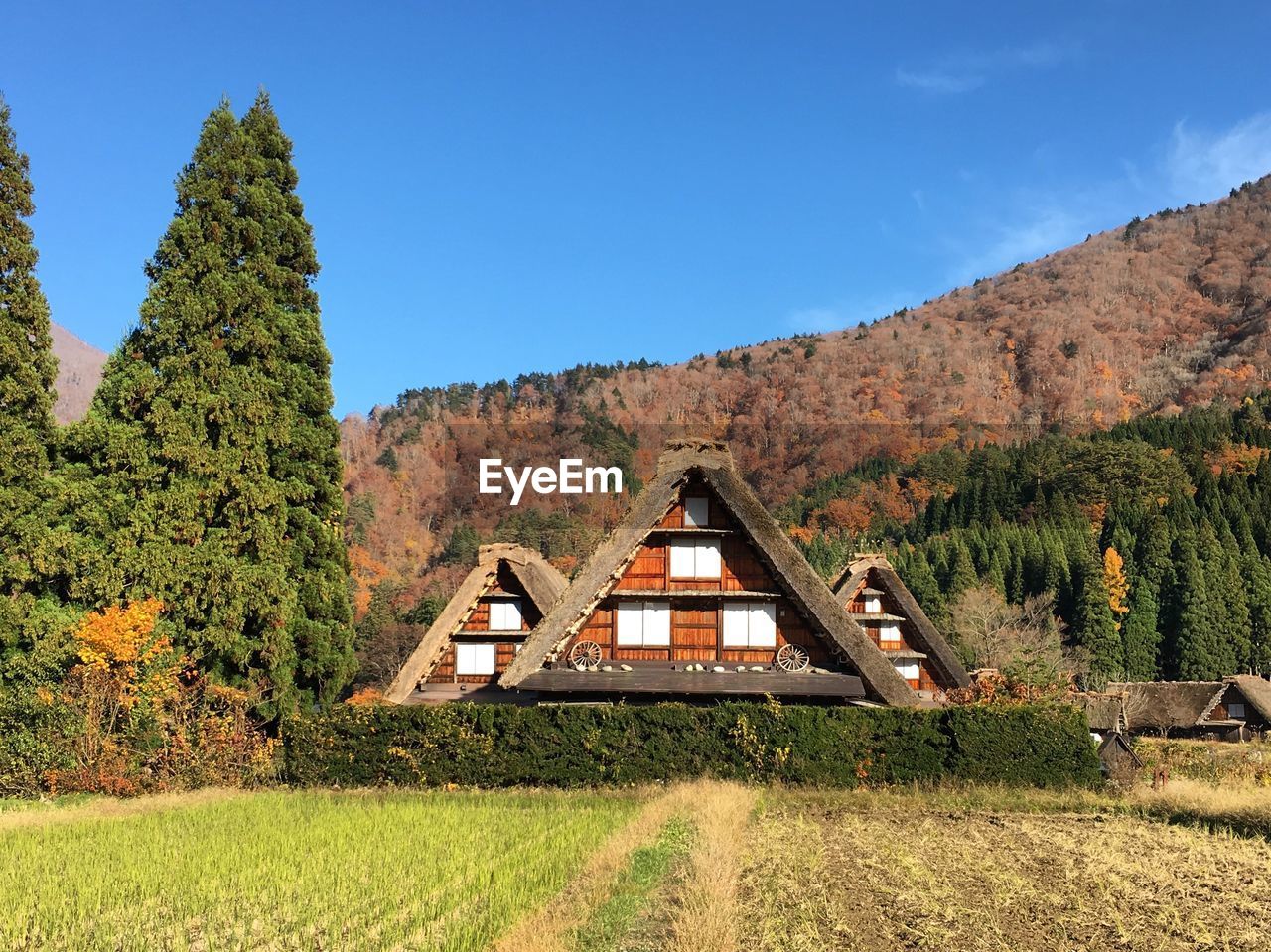 House amidst trees and houses against sky