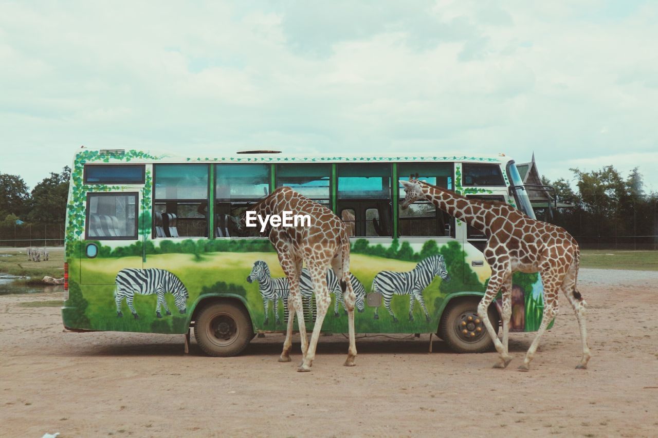 VIEW OF TRUCK ON LANDSCAPE