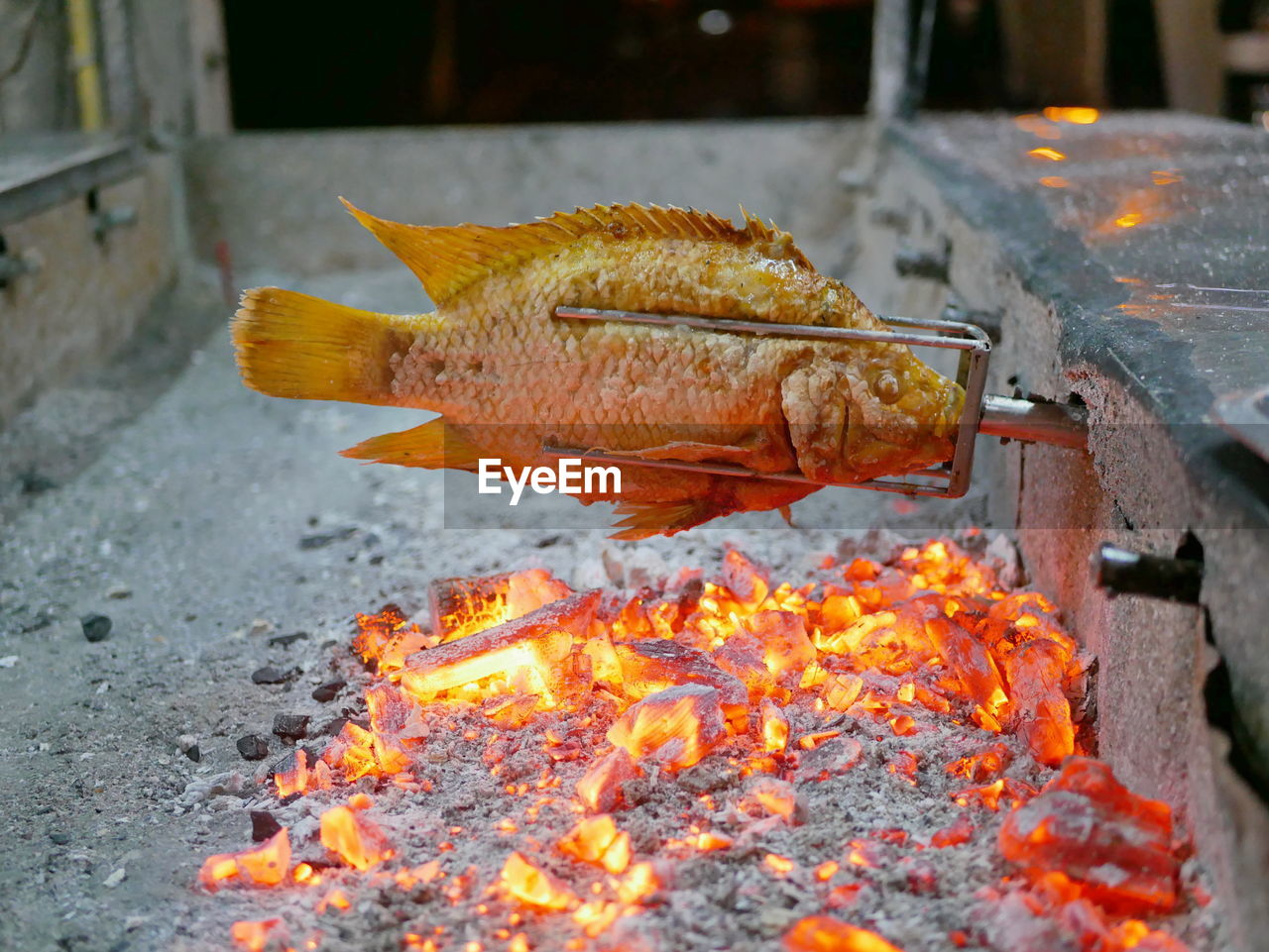 Grilled fish, red tilapia, plaa tubtim, pla pao, and red burning charcoals in a big stove