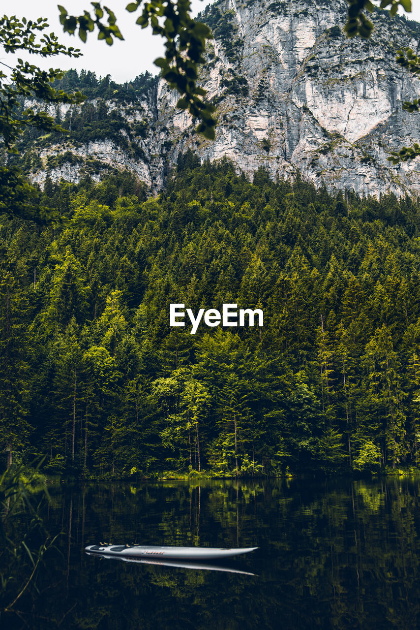 Scenic view of lake amidst trees in forest