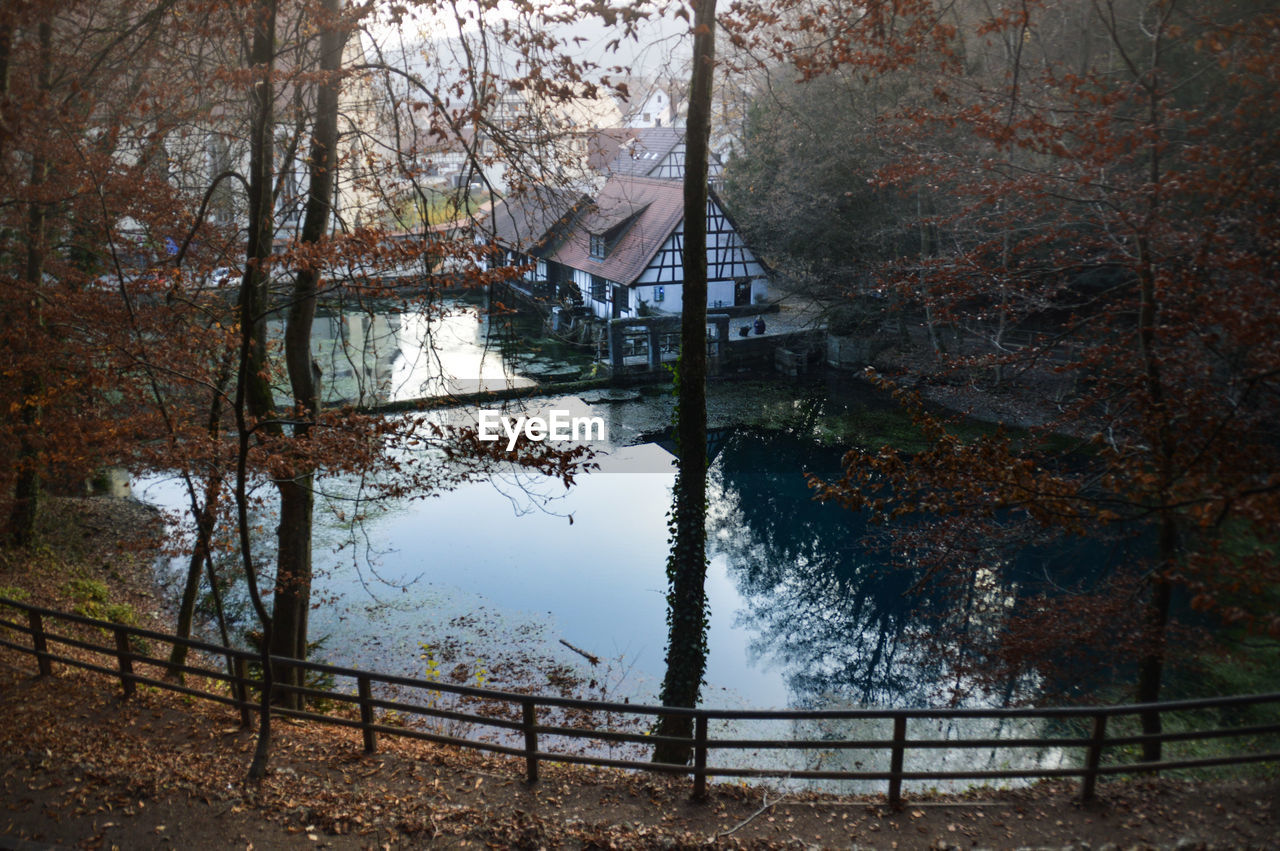 Scenic view of lake in forest during autumn