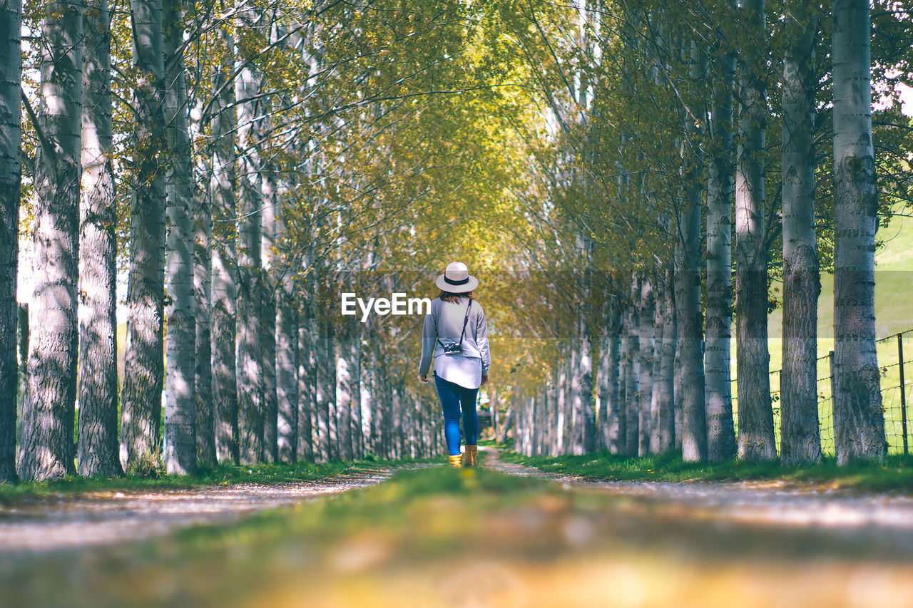 Rear view of woman walking amidst trees at forest