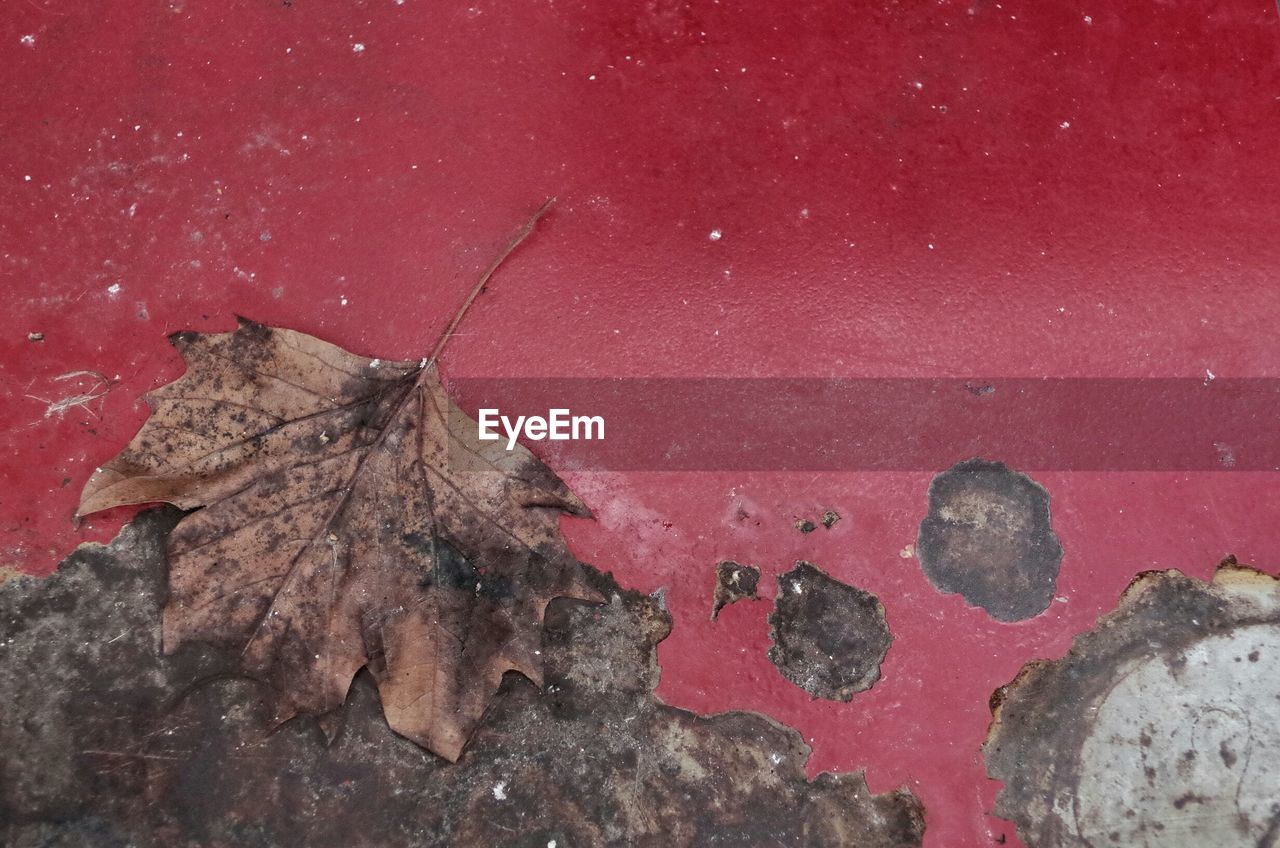 CLOSE-UP OF RED WALL AGAINST SKY