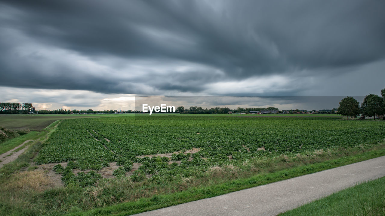 Scenic view of grassy field against cloudy sky