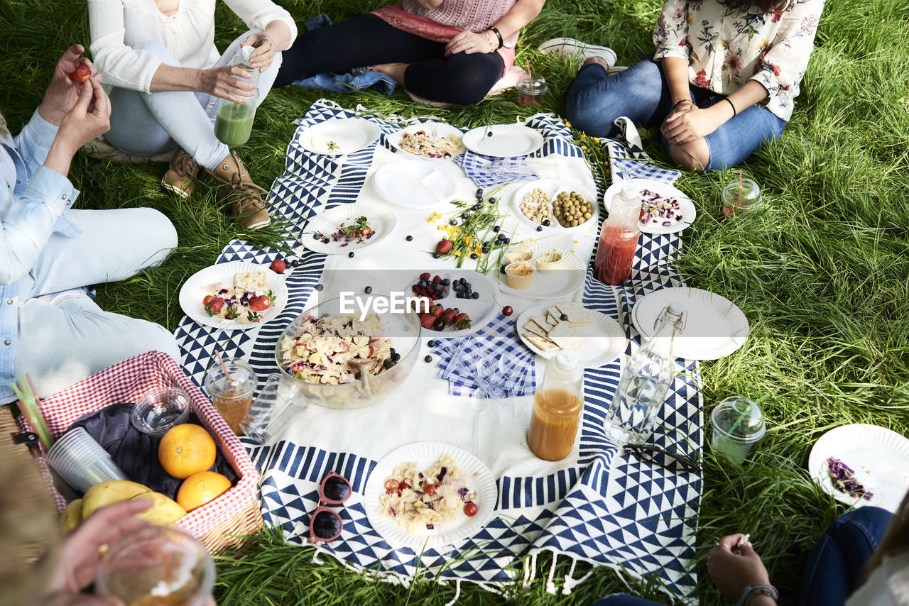 Partial view of women having a picnic in park