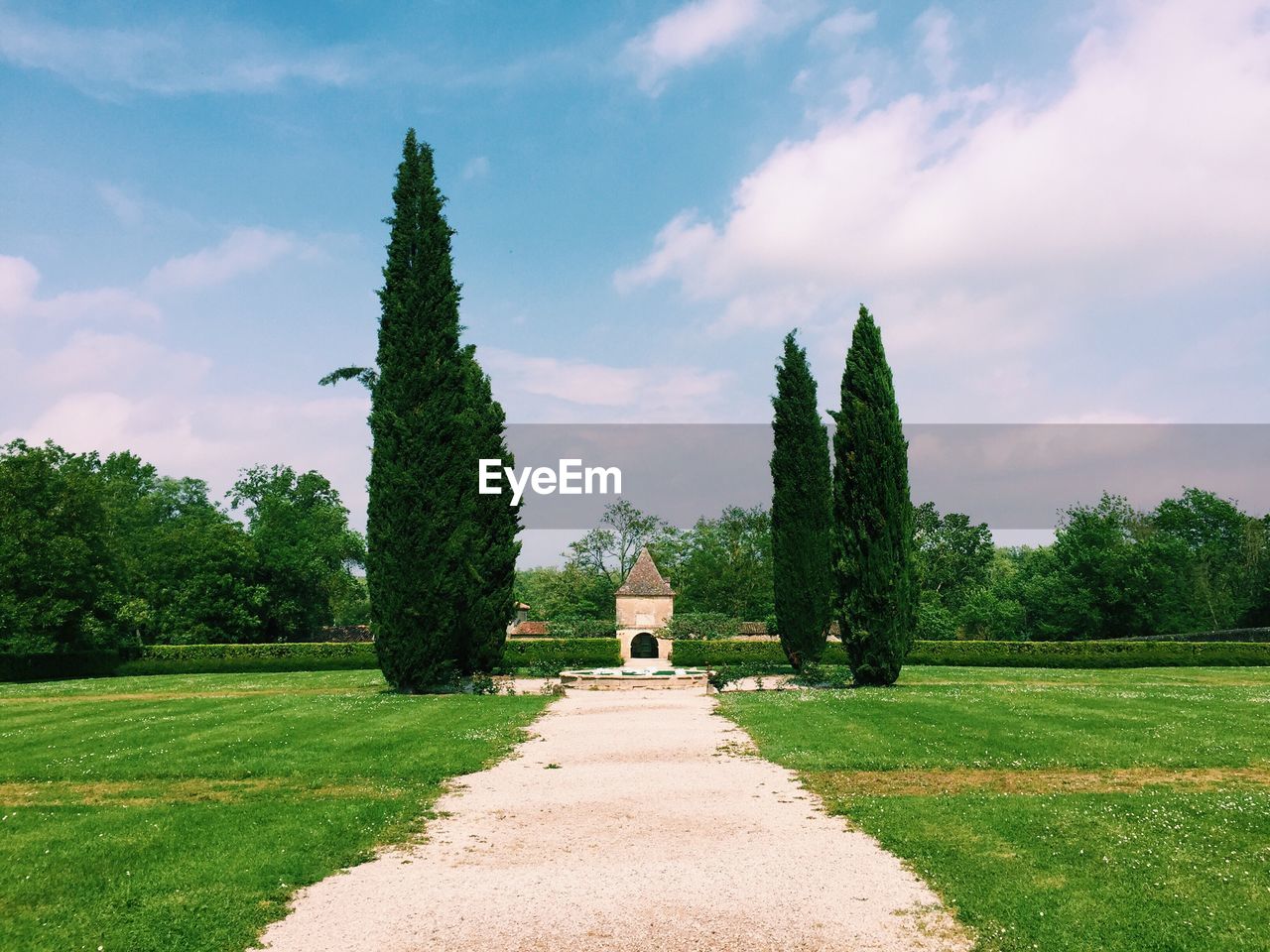 Elegance of a garden with cypress trees inspired by the italian style