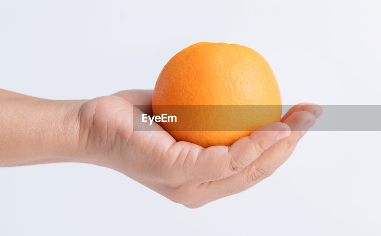 hand, healthy eating, food, food and drink, orange color, citrus fruit, citrus, fruit, wellbeing, orange, grapefruit, produce, studio shot, freshness, white background, one person, holding, cut out, tangerine, indoors, plant, close-up, adult, clementine, organic, single object