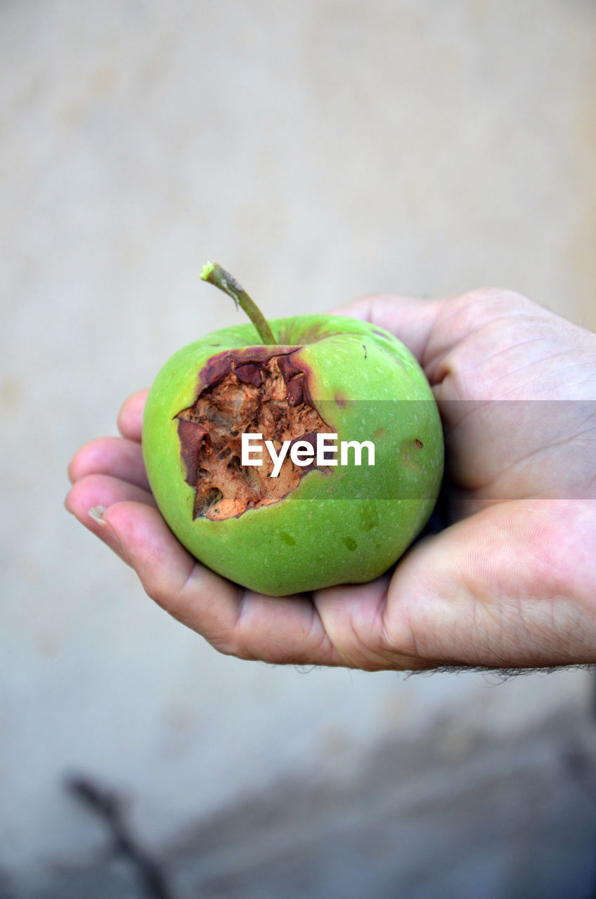 CROPPED IMAGE OF MAN HOLDING FRUIT