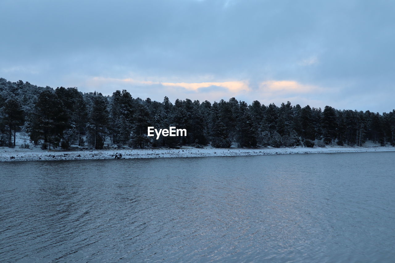 tree, snow, sky, scenics - nature, winter, water, plant, cloud, forest, beauty in nature, environment, pine tree, coniferous tree, lake, nature, tranquil scene, landscape, tranquility, cold temperature, reflection, pinaceae, pine woodland, land, no people, mountain, non-urban scene, body of water, woodland, outdoors, blue, day, travel destinations, shore, idyllic, wilderness, frozen, overcast, travel, reservoir