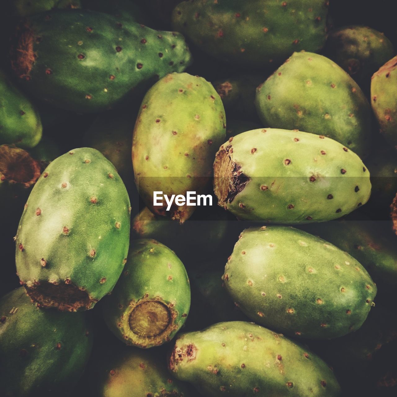 FULL FRAME SHOT OF VEGETABLES