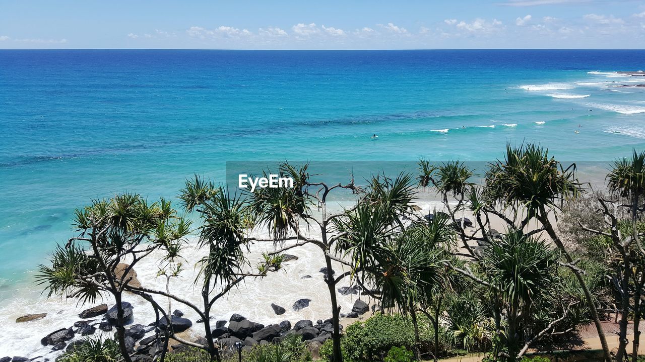 High angle view of palm trees on beach against blue sky