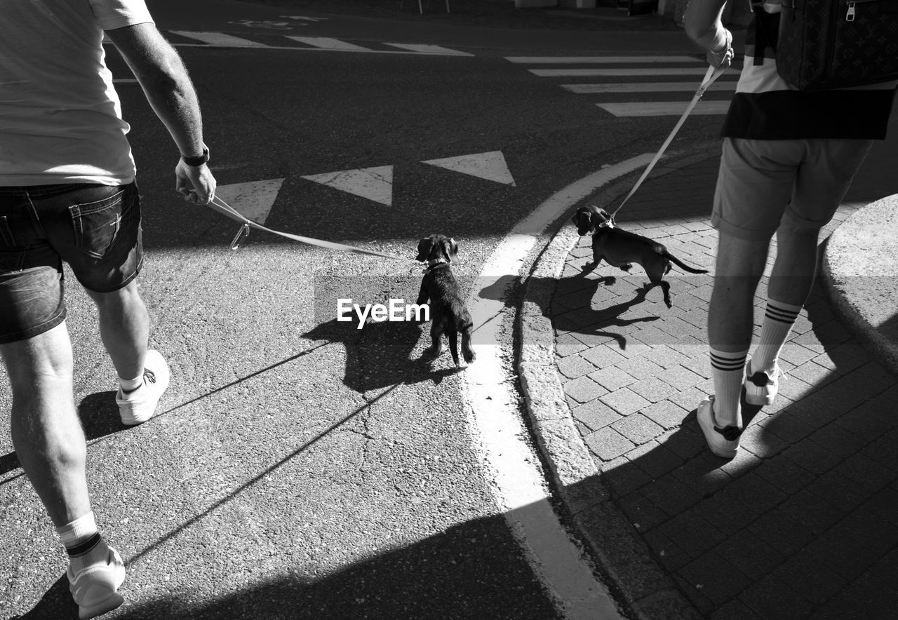 Low section of friends walking with dog on street