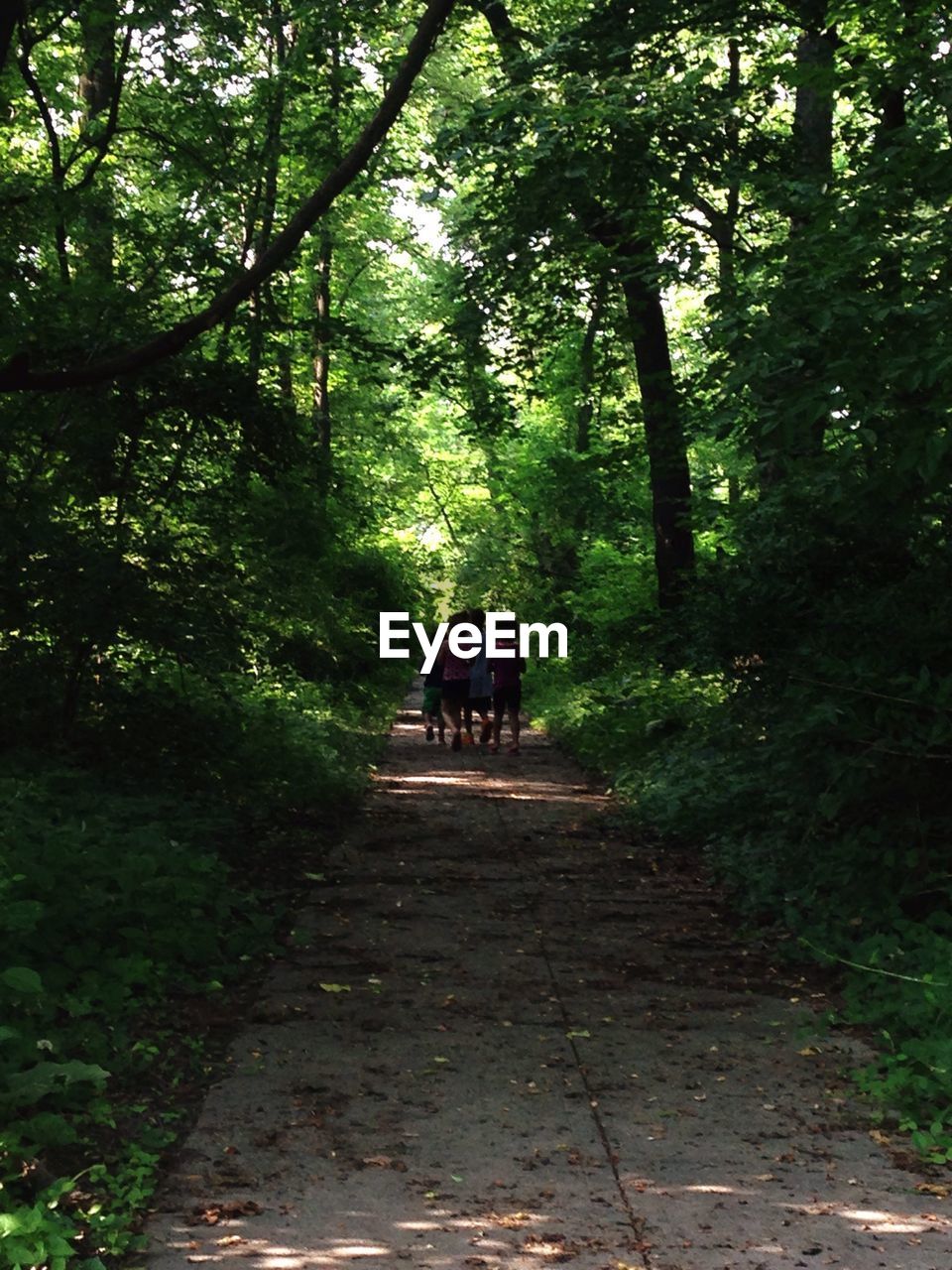 PEOPLE WALKING ON PATHWAY IN FOREST