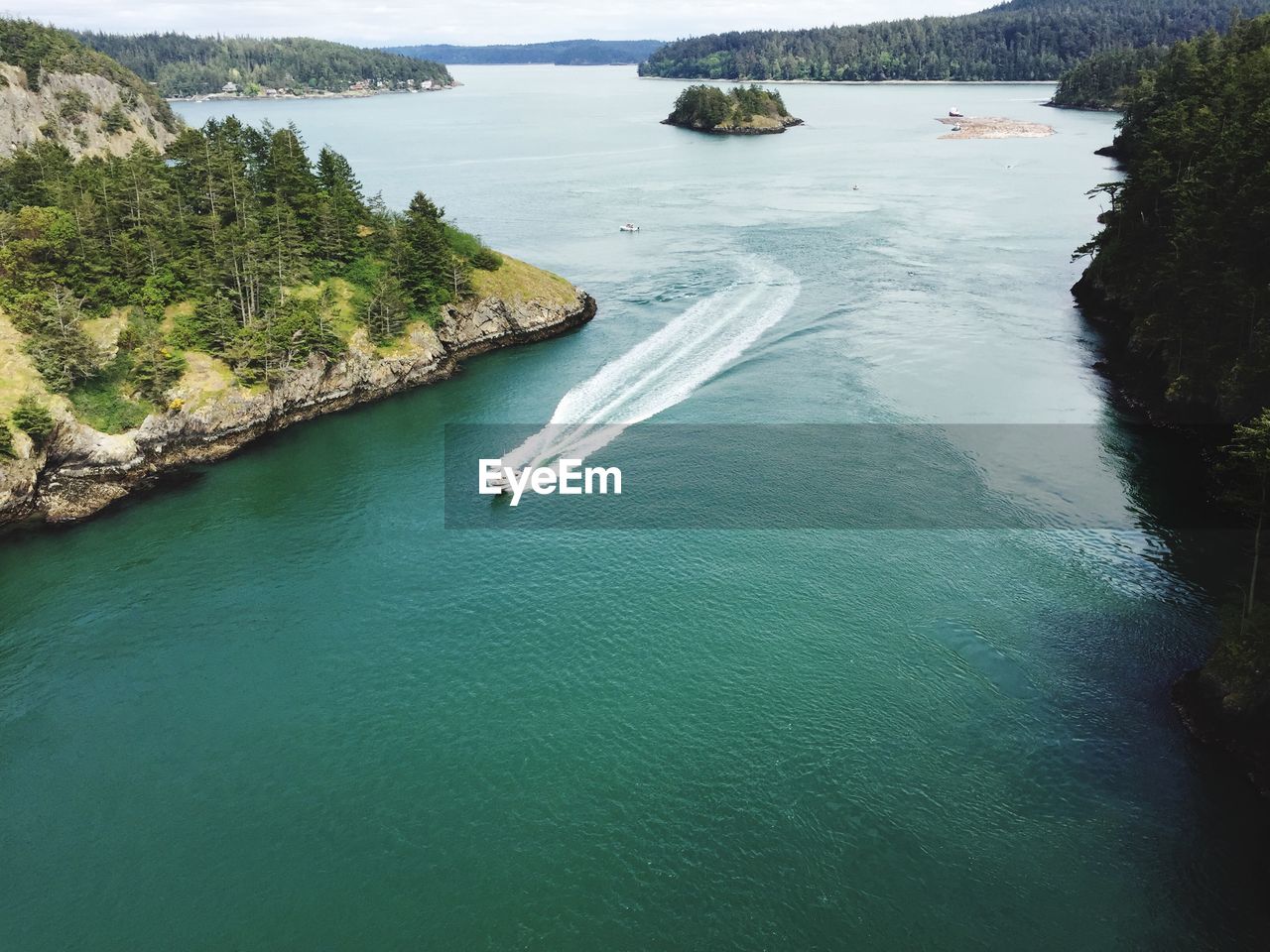 High angle view of sea and trees