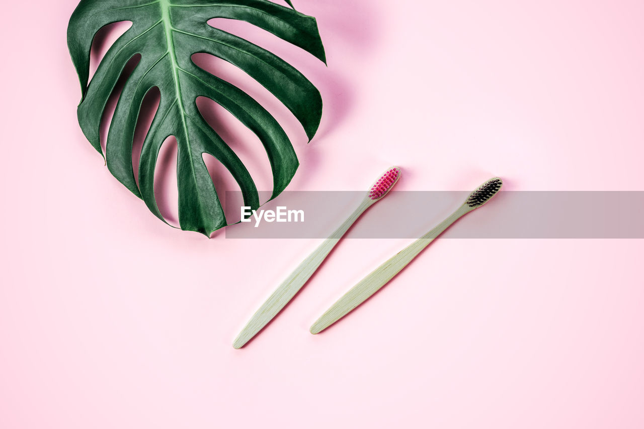 Zero waste bamboo toothbrush on pink background with green tropical monstera leaf