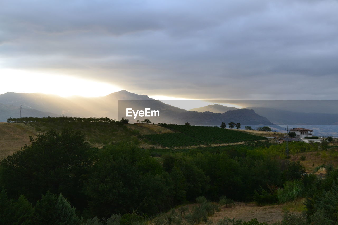 SCENIC VIEW OF LAND AGAINST SKY