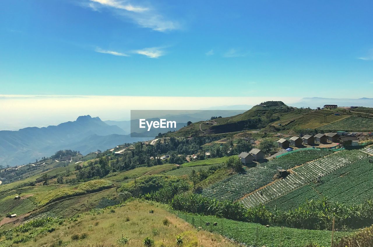 Scenic view of agricultural landscape against sky