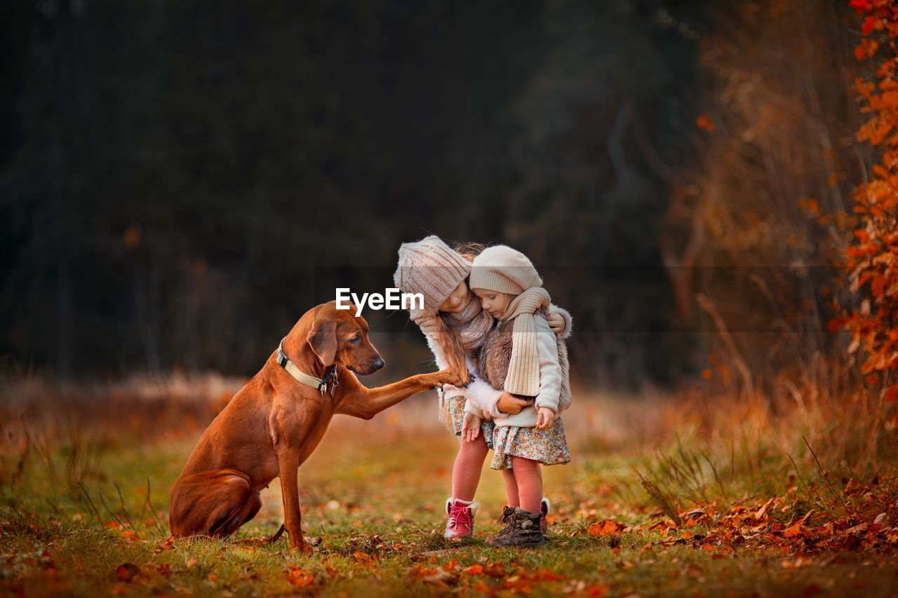 Girls by dog on field during autumn