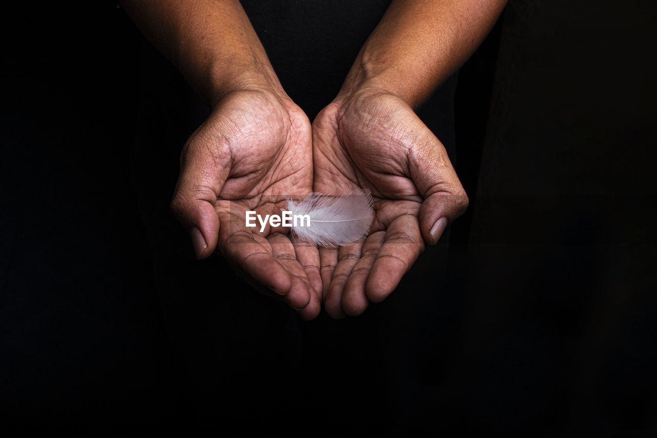 Cropped hands of person holding feather against black background